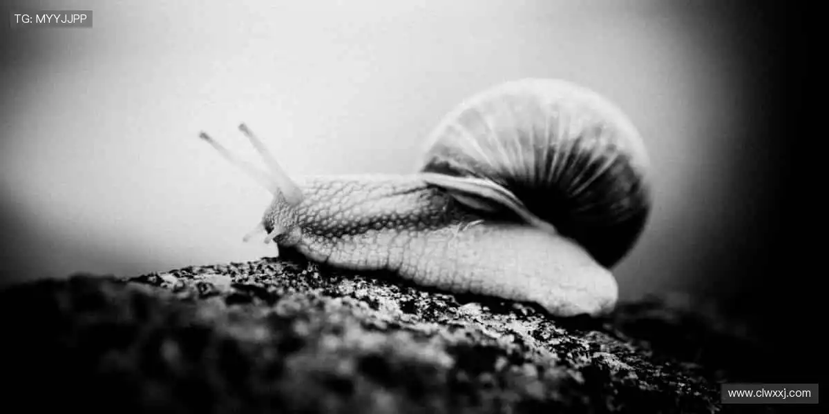 周边好物,点燃热爱!🎯👕